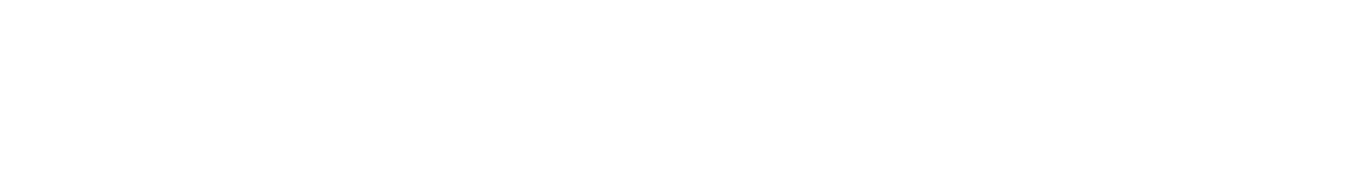 Anuva Logo white